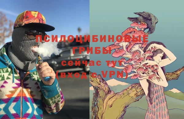 хмурый Кинешма