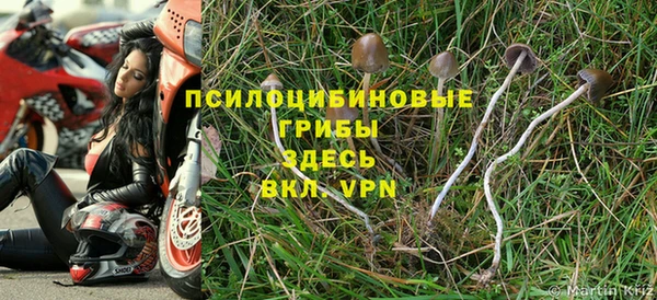 хмурый Кинешма