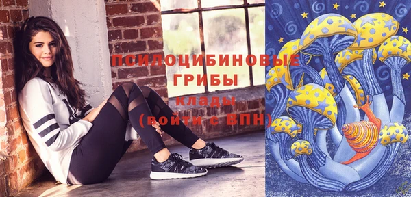 a pvp Киренск