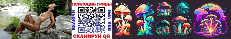 Псилоцибиновые грибы GOLDEN TEACHER  купить  сайты  Злынка 